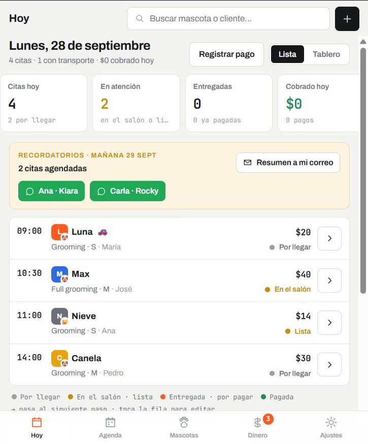 Hoy